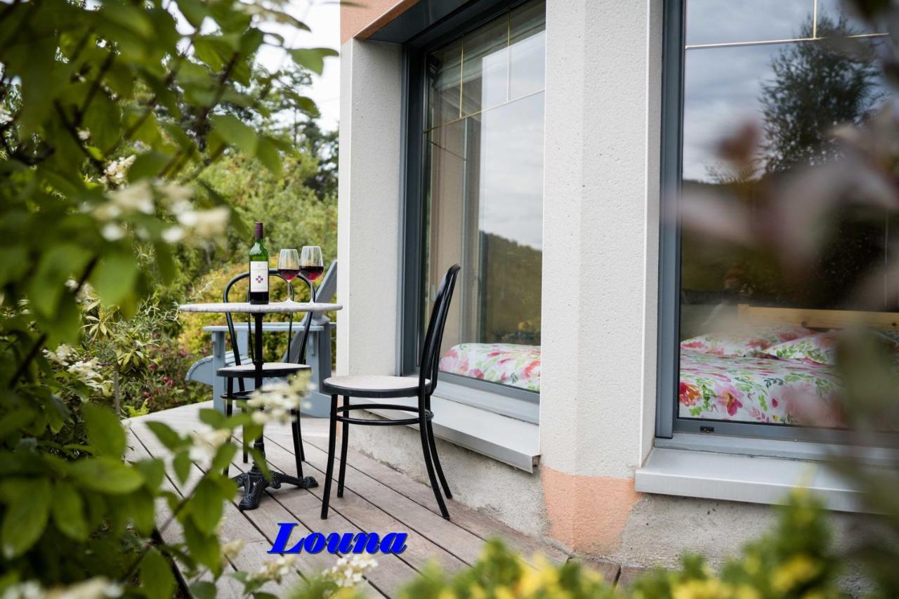 Appartements 5 Personnes Maya Et Louna Xonrupt-Longemer Exterior photo
