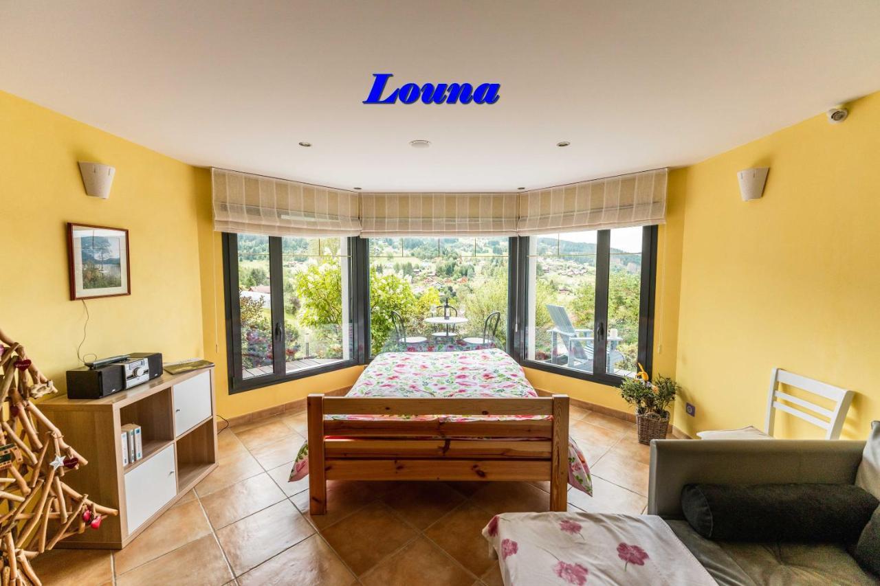 Appartements 5 Personnes Maya Et Louna Xonrupt-Longemer Exterior photo