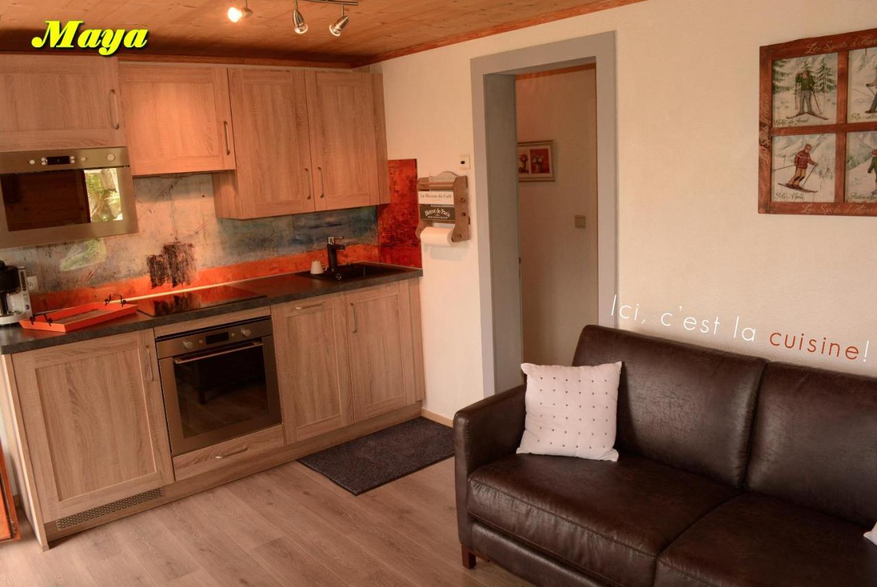 Appartements 5 Personnes Maya Et Louna Xonrupt-Longemer Exterior photo
