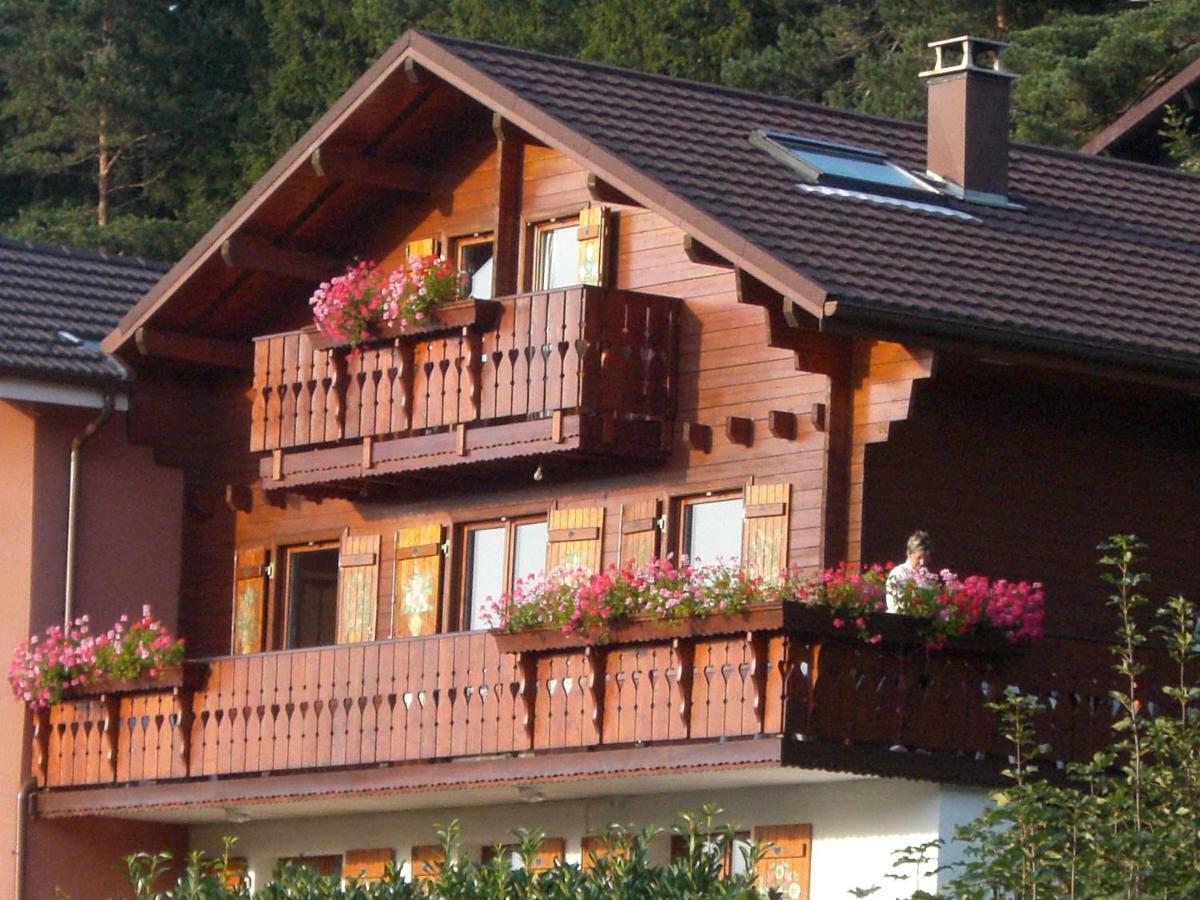 Appartements 5 Personnes Maya Et Louna Xonrupt-Longemer Exterior photo